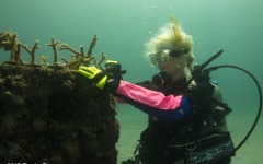 coral-grafting-may-11-2013-161